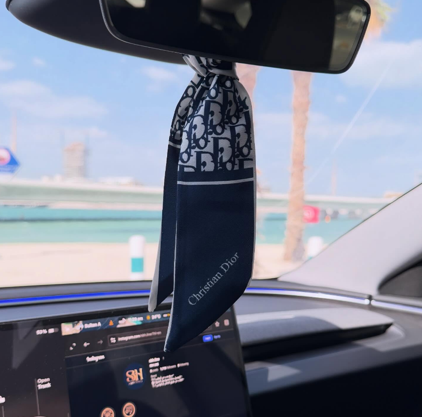 Dior Scarf