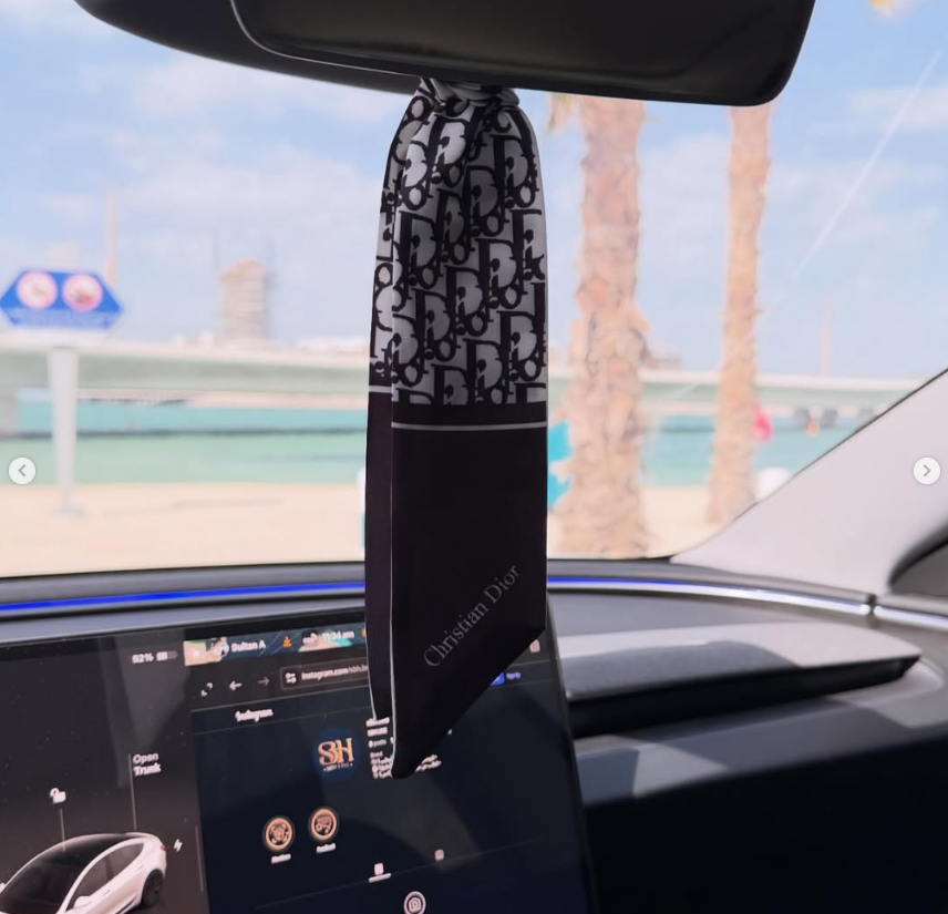 Dior Scarf